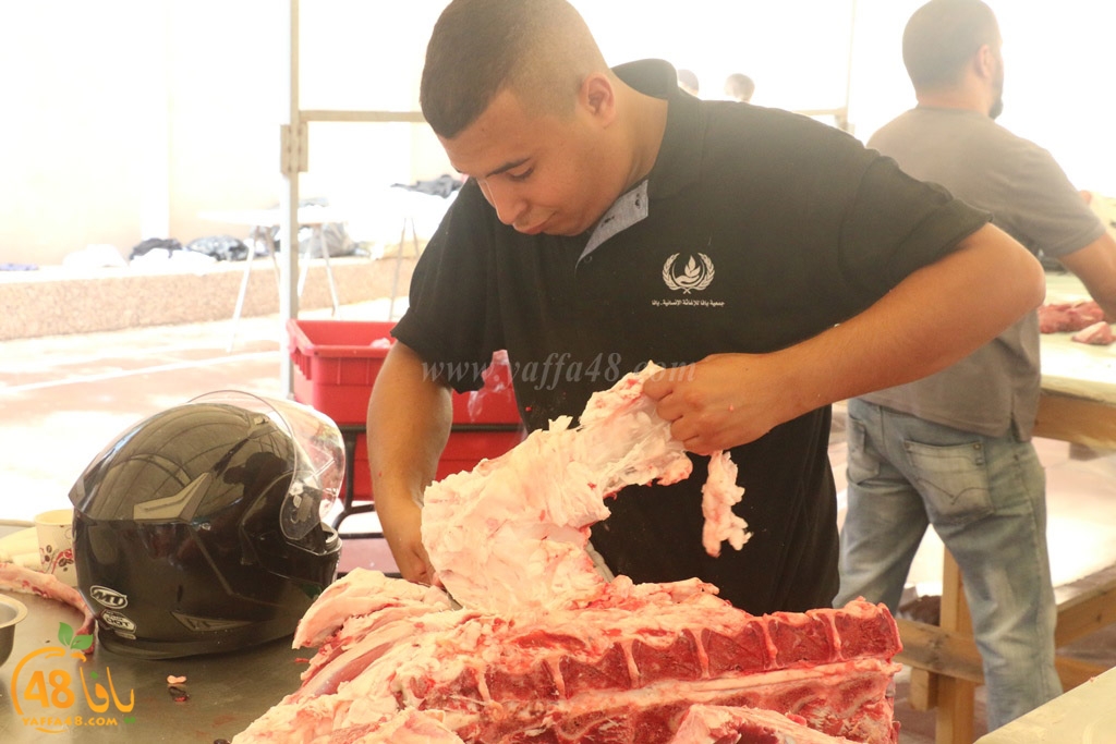 ada7y forthei (27).JPG